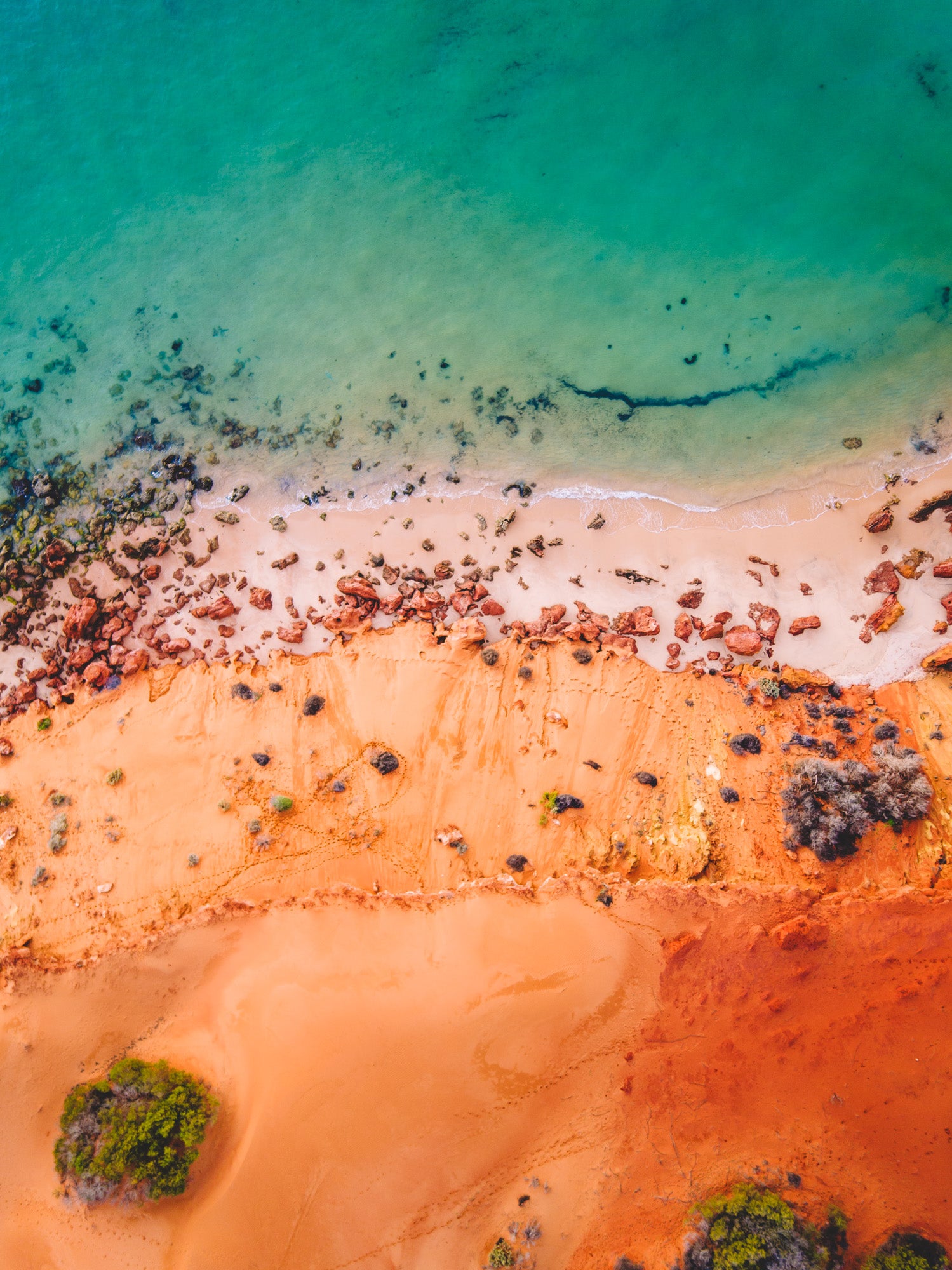 Coastal offers Beach Print Wall Art - Shark Bay, Western Australia