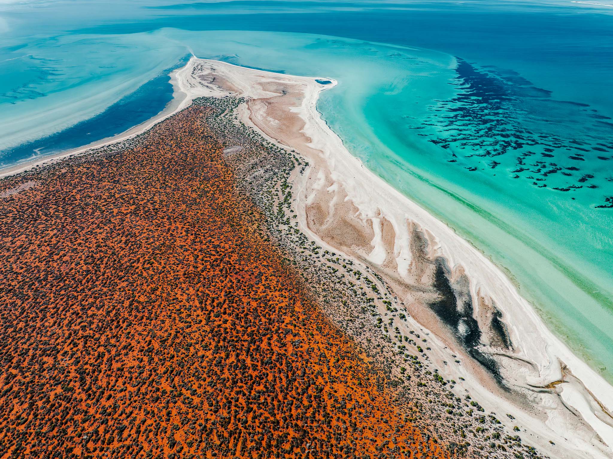 Coastal Print Wall Art - Shark hot Bay, Western Australia